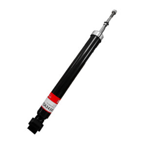 AMORTIGUADORES TRASEROS NISSAN TIIDA 2006-2018 1.6L/1.8L